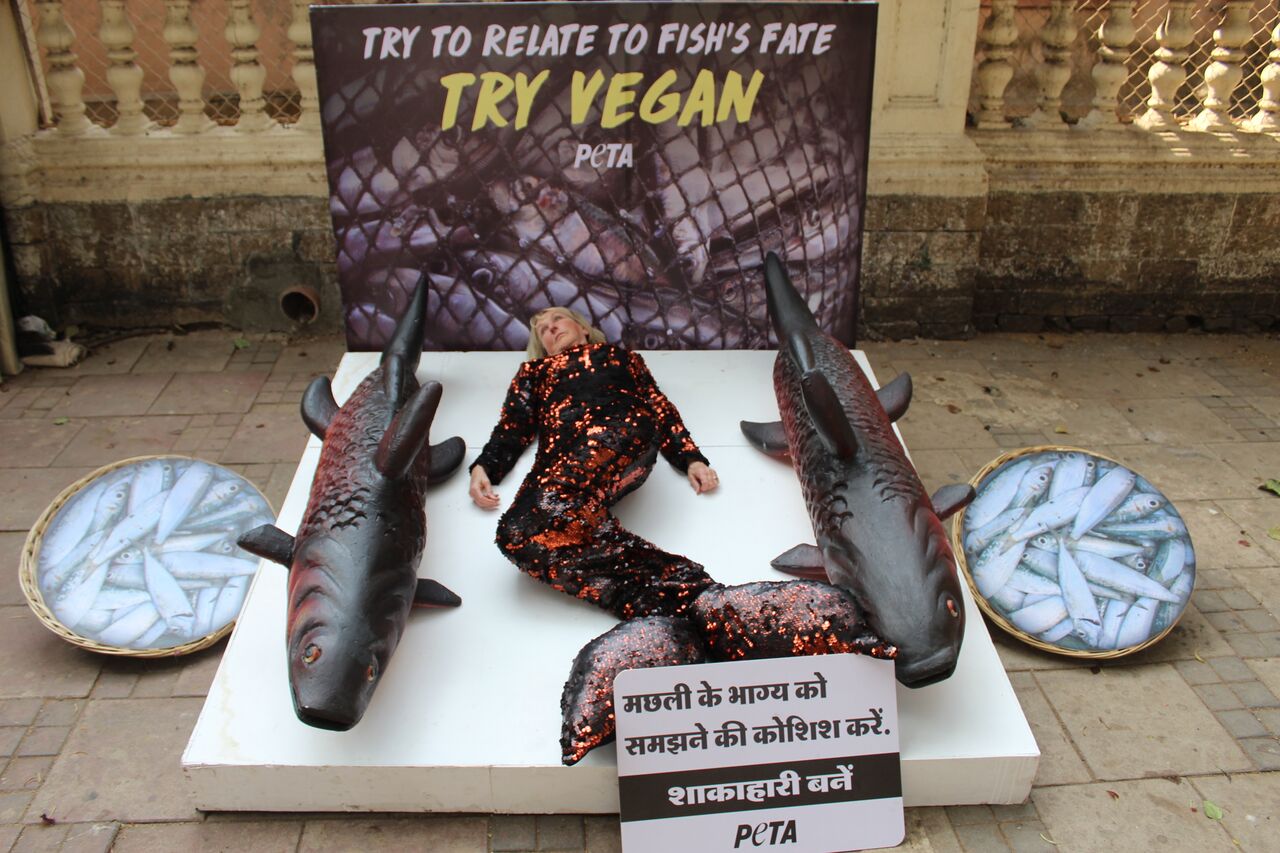 PETA India Founder Takes Fish's Place in Mumbai Animal Rights Day Appeal - Blog - PETA India PETA India Founder Takes Fish's Place in Mumbai Animal Rights Day Appeal - Blog - PETA India