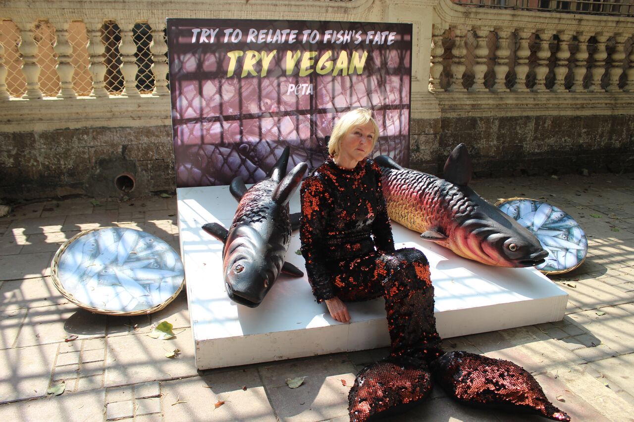 PETA India Founder Takes Fish's Place in Mumbai Animal Rights Day Appeal - Blog - PETA India PETA India Founder Takes Fish's Place in Mumbai Animal Rights Day Appeal - Blog - PETA India