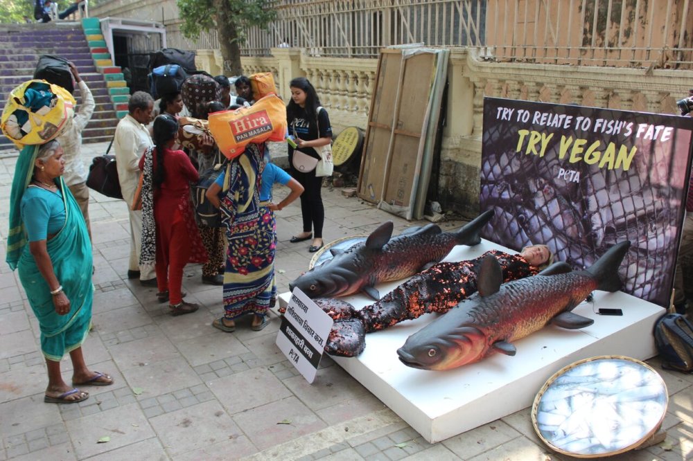 PETA India Founder Takes Fish's Place in Mumbai Animal