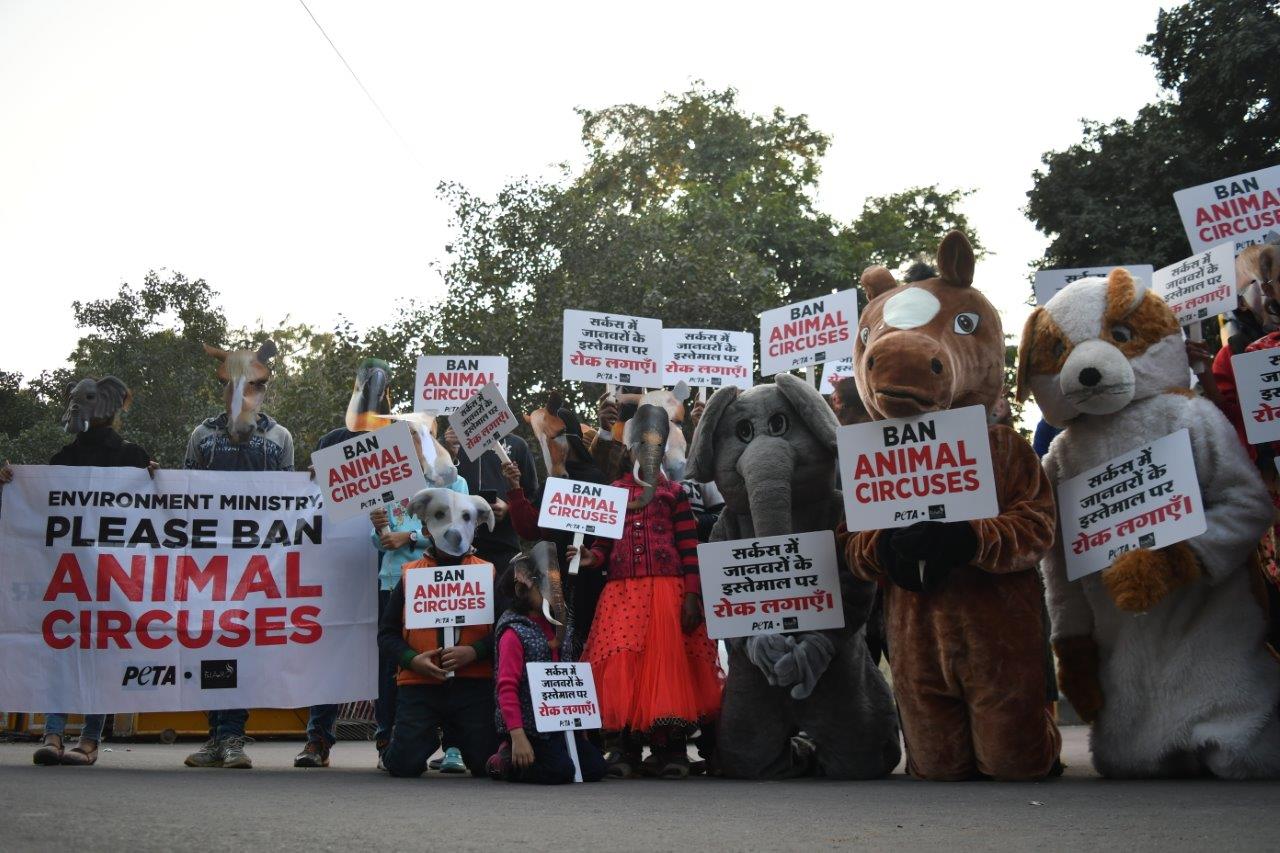 Children Join 'Elephants', 'Horses', and Others Call For a Ban on Animals in Circuses - Blog - PETA India Children Join 'Elephants', 'Horses', and Others Call For a Ban on Animals in Circuses - Blog - PETA India