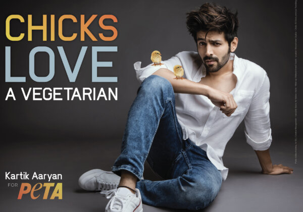 Kartik Aaryan Stars in New PETA India Campaign: ‘Chicks Love a Vegetarian’