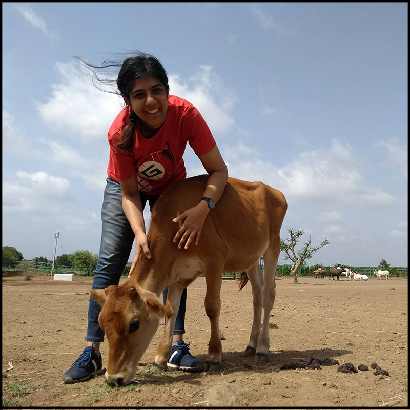 Neha Photo with Baby Calf for Women's Day 