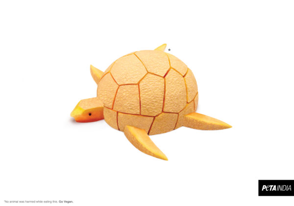 This ‘How to Make a Delicious Turtle’ Video Isn’t What It Seems