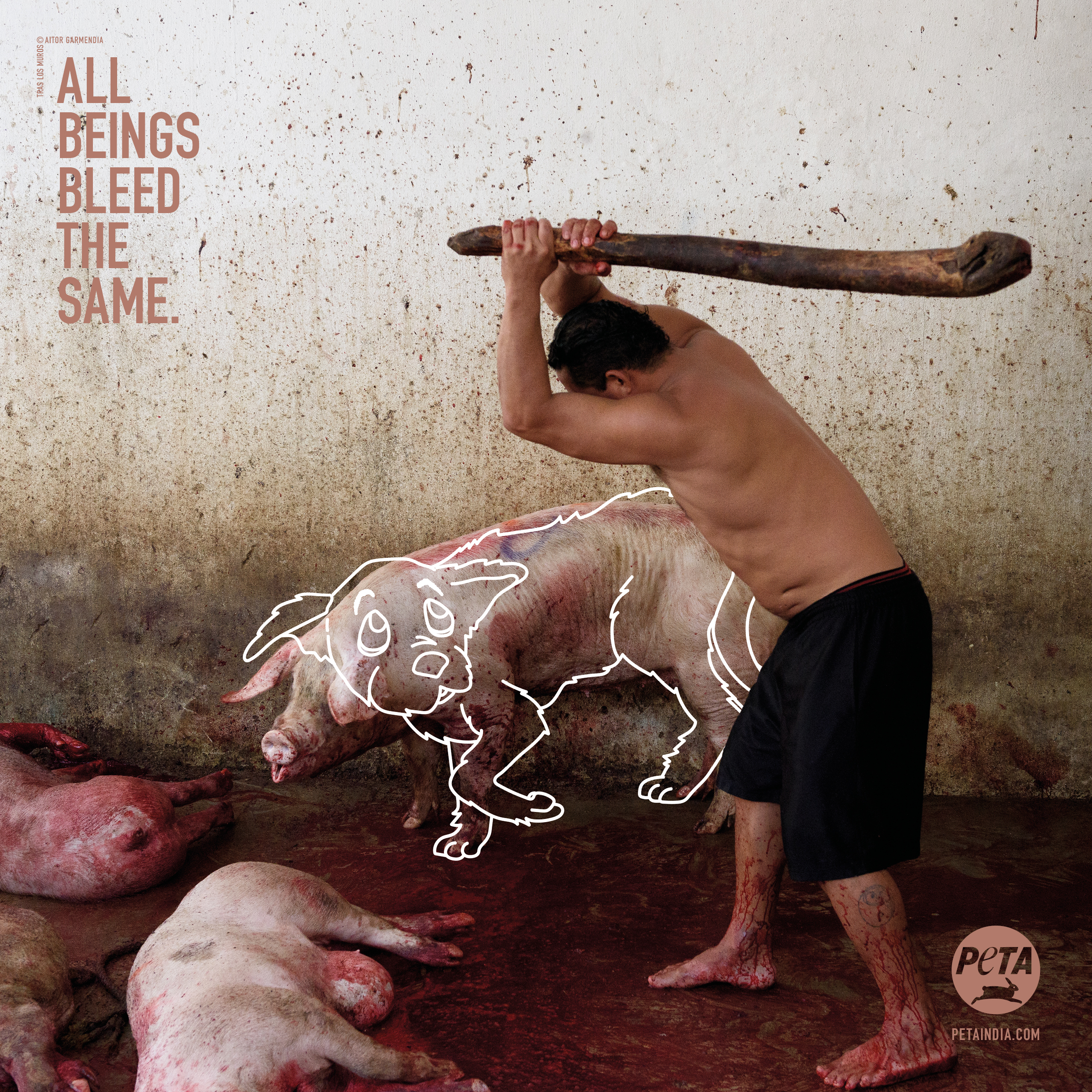 All Beings Bleed the Same': New PETA Ads Challenge Speciesism - Blog - PETA India All Beings Bleed the Same': New PETA Ads Challenge Speciesism - Blog - PETA India