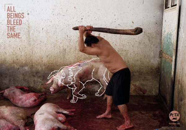 ‘All Beings Bleed the Same’: New PETA Ads Challenge Speciesism