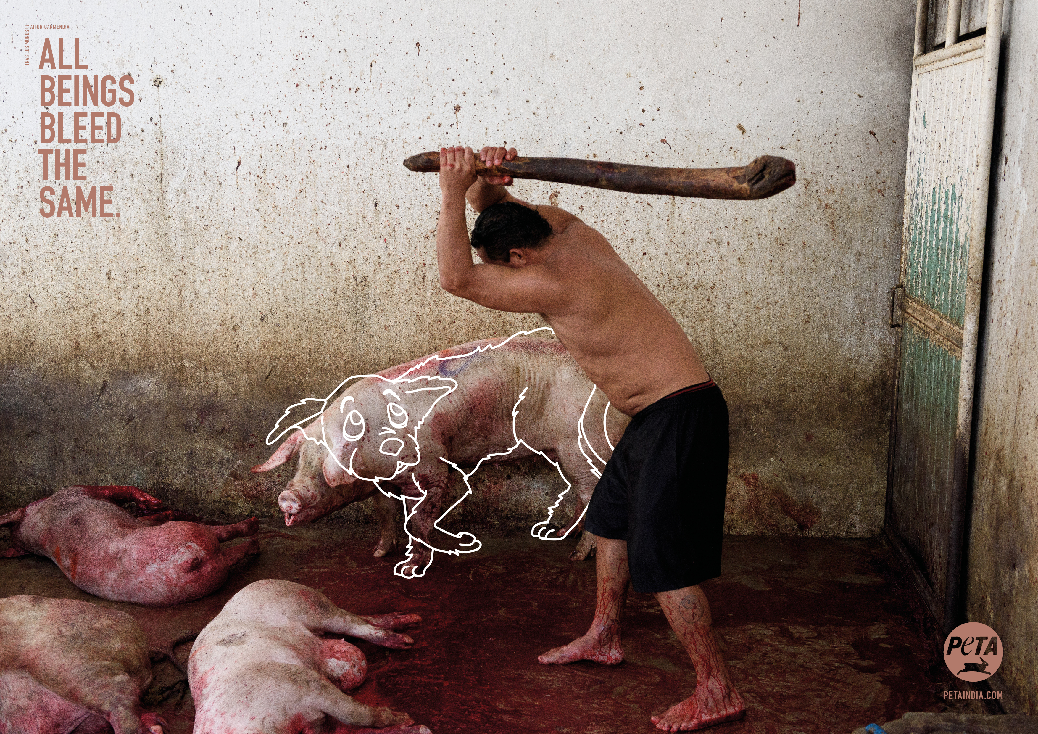 All Beings Bleed the Same': New PETA Ads Challenge Speciesism - Blog - PETA India All Beings Bleed the Same': New PETA Ads Challenge Speciesism - Blog - PETA India