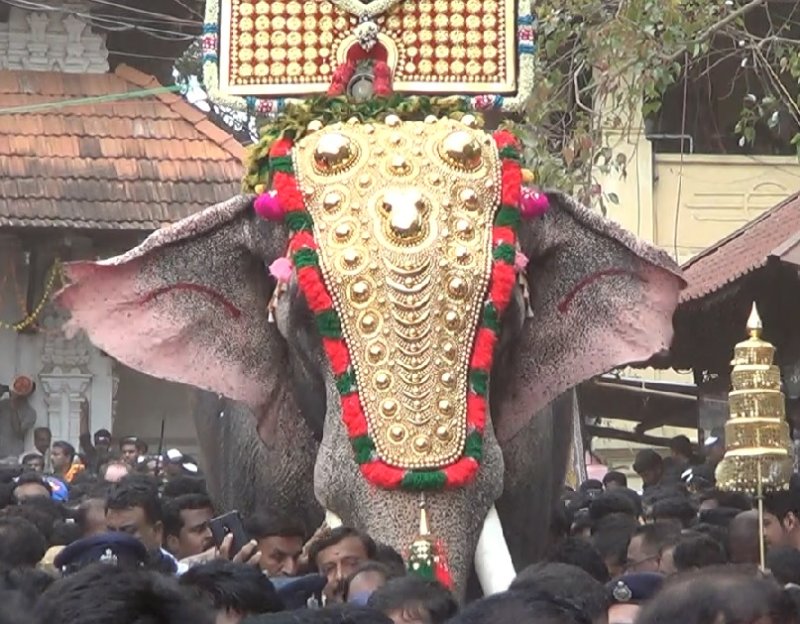 ELEPHANT THECHIKOTTUKAVU RAMACHANDRAN