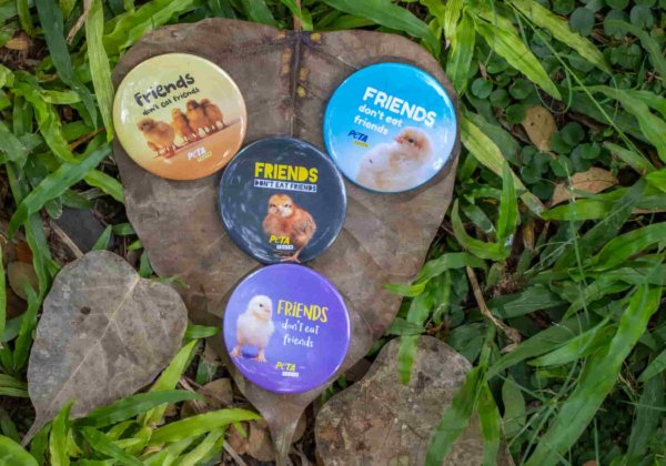 Participate in PETA Youth’s Friendship Day Mission!