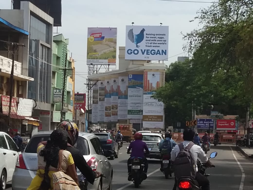 PETA India Chennai Hoarding Water Crisis 