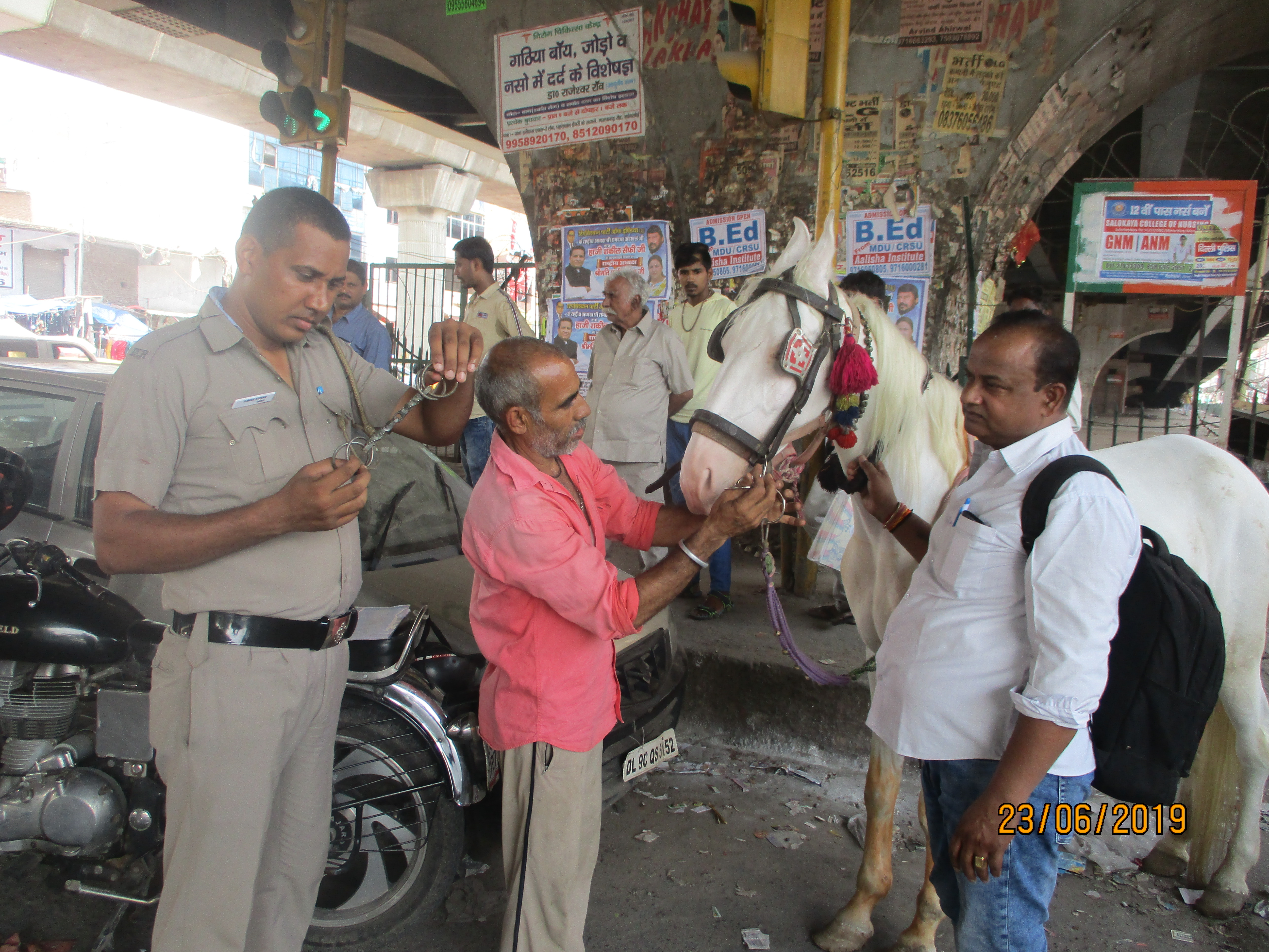 Following PETA India Complaint, Delhi Police Seize Spiked Bits Used to Control Horses in Weddings