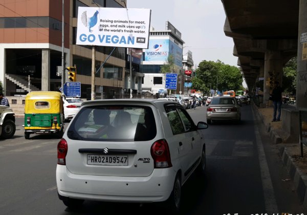 पशुपालन, पेयजल संकट एवं जलवायु परिवर्तन का बड़ा कारण है