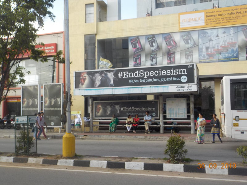 End Speciesism Billboard