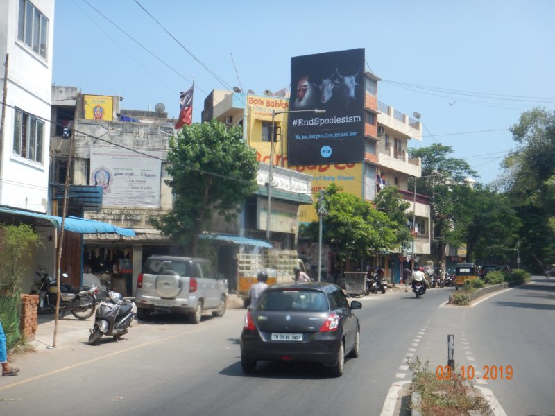 End Speciesism Billboard