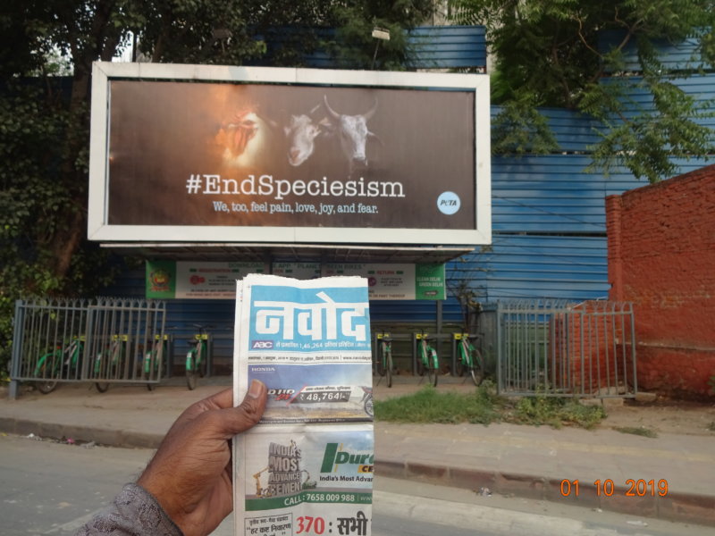 End Speciesism Billboard