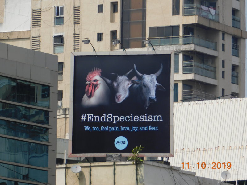 End Speciesism Billboard