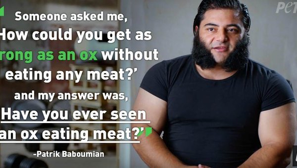 ‘The Game Changers’ Smashes the Myth About Meat and Athletic Prowess