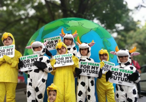 Children’s Day Appeal: ‘Chicks’ and ‘Calves’ Make Vegan Plea in the Face of Climate Crisis