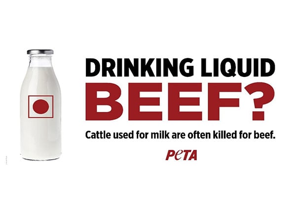 Brown Dot for Dairy? New Billboards Sweep the Nation for World Vegan Month