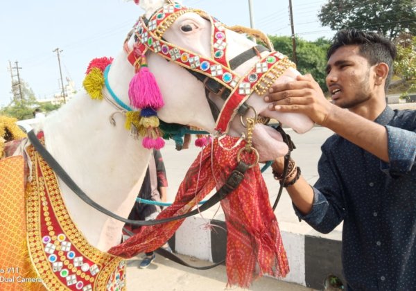 घोड़ों को नियंत्रित करने हेतु इस्तेमाल की जाने वाली गैरकानूनी काँटेदार लगाम पर रोक लगवाने में मदद करें।