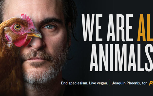 Image result for peta india