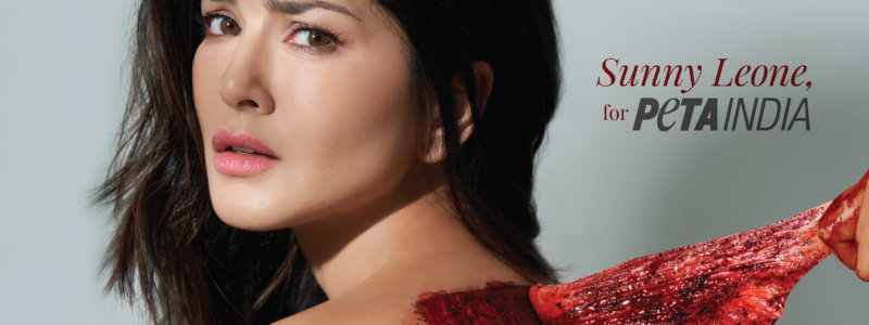 Sunny Leone Is ‘Skinned’ in New PETA India Ad Launched During Lakmé Fashion Week