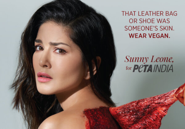 Sunny Leone Is ‘Skinned’ in New PETA India Ad Launched During Lakmé Fashion Week