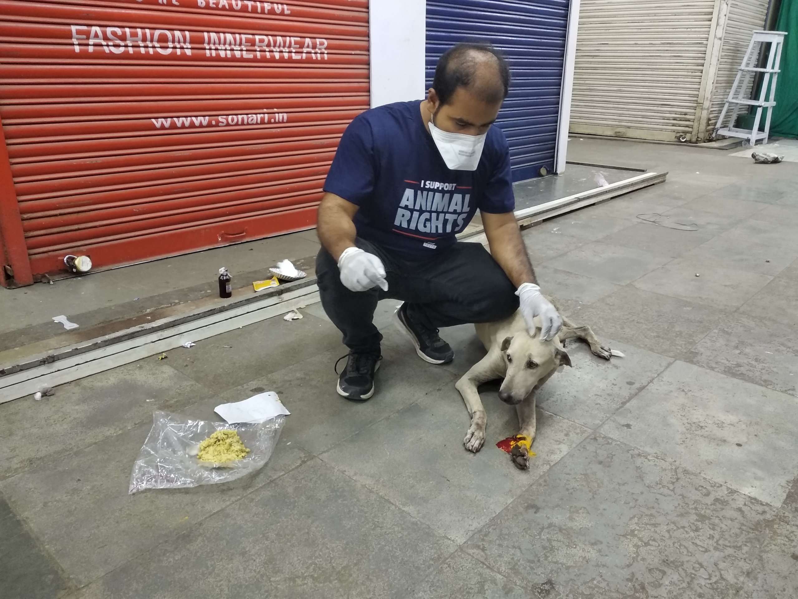 PETA India Isn't Slowing Down, Because Animals STILL Need Our Help - Blog -  PETA India