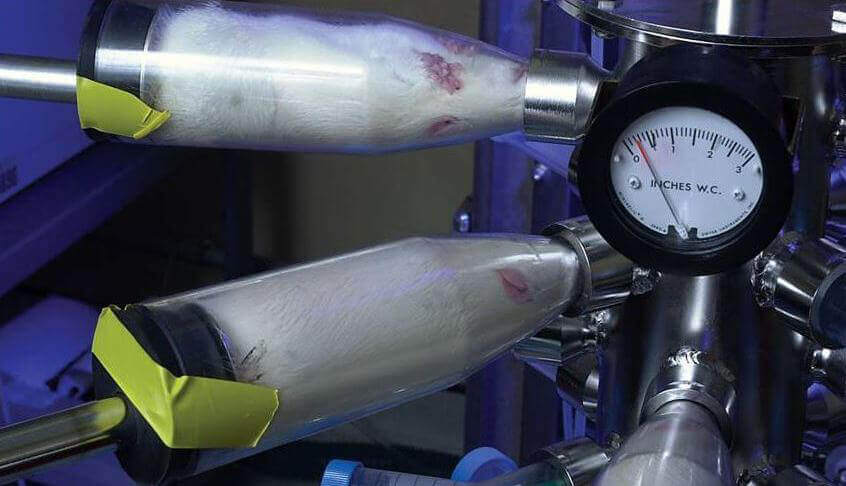 ratinhalationtube