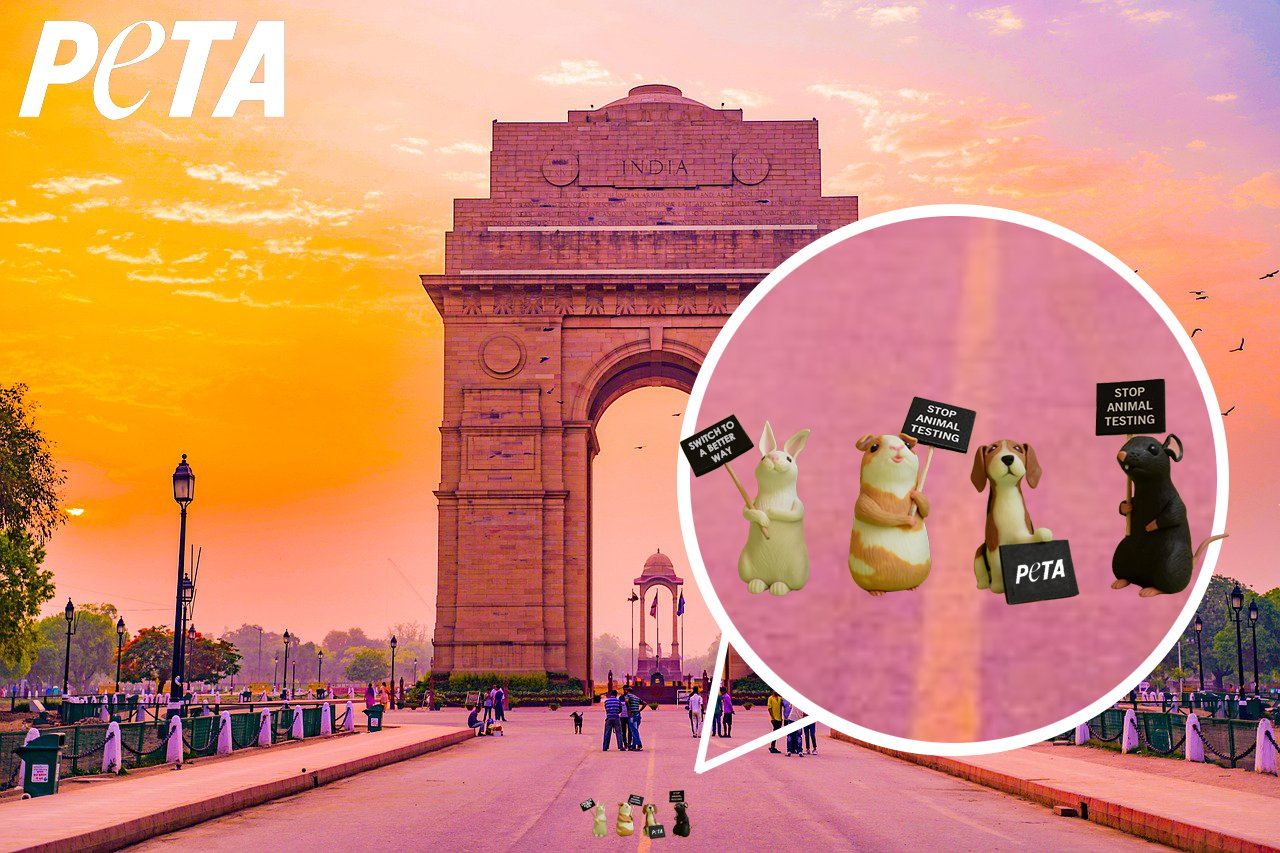 Miniature Protesters at India Gate