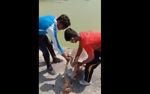 कुत्ते को मुह पैर से बांधकर तालाब में फेंकने वाले अपराधी गिरफ़्तार