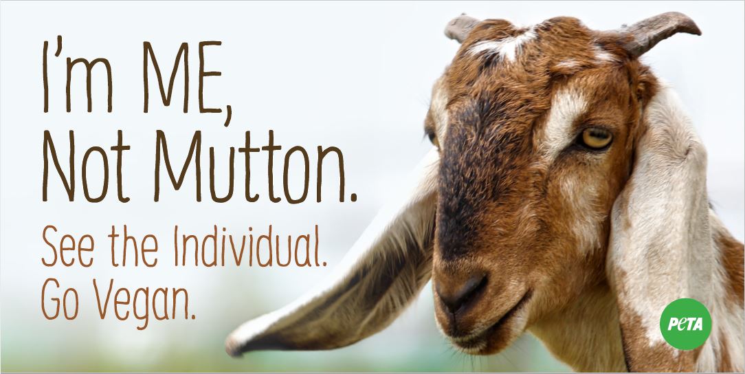 I'm ME, Not Mutton' Billboards Go Up, Promoting Vegan Lifestyle - Blog -  PETA India