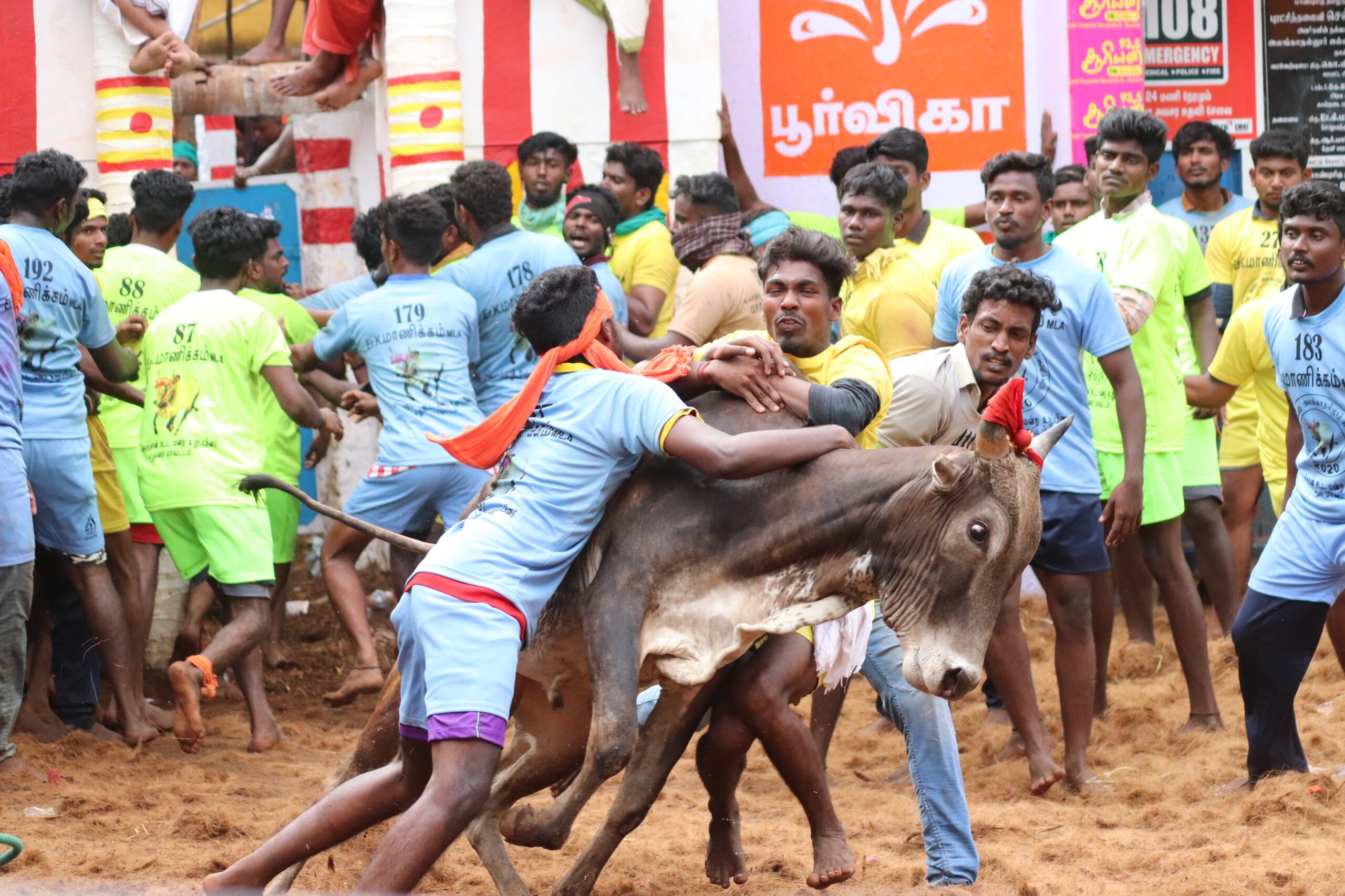 Jallikattu 2020 Investigation Photo 1