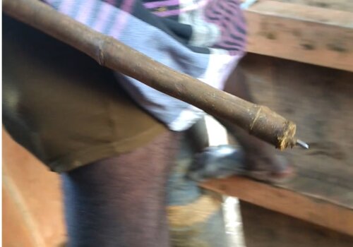 Jallikattu 2020 Investigation Photo -nail-tipped wooden stick jabbed to bulls in vaadi vaasal