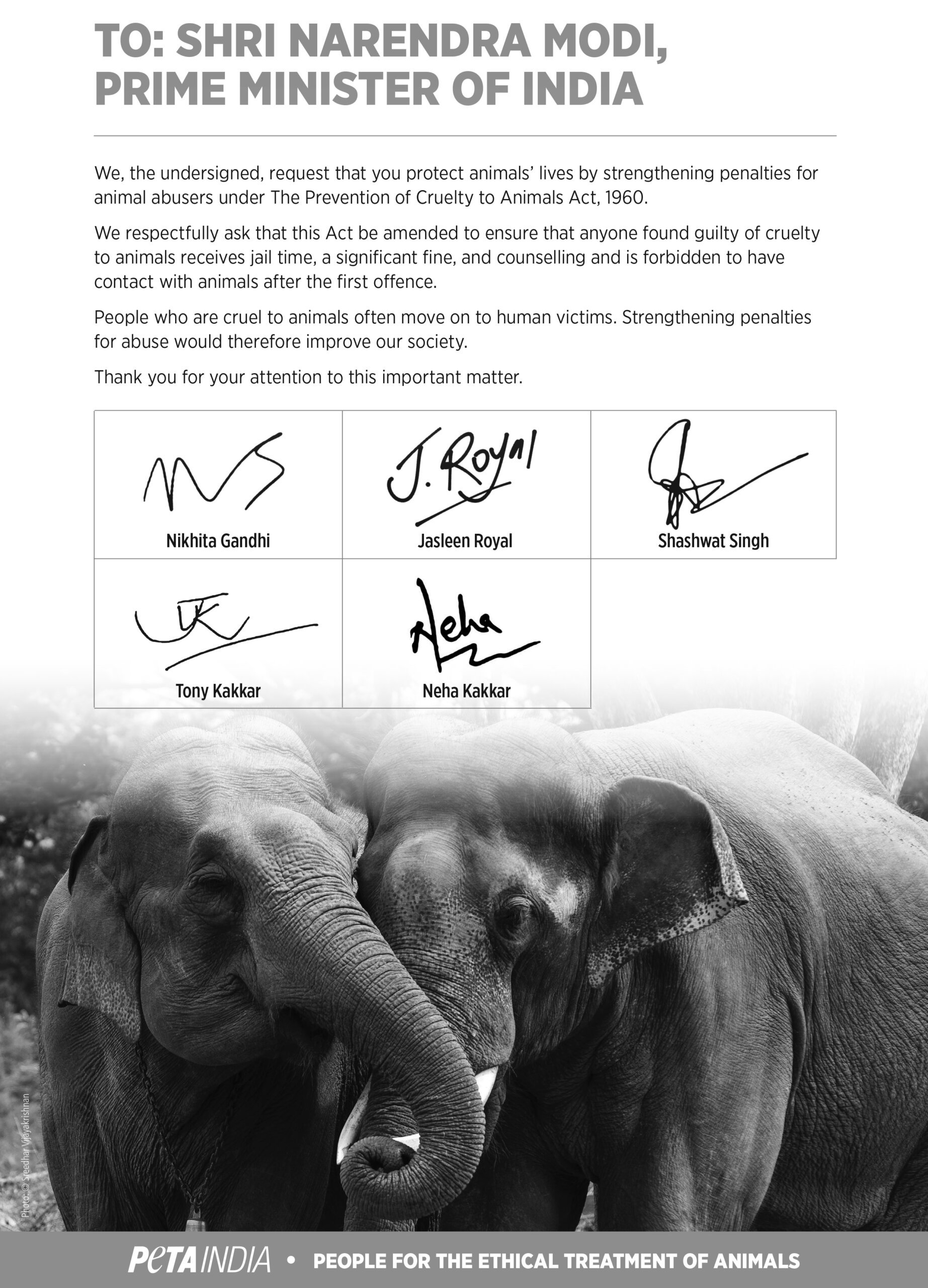 Singers to PM Modi: Please Strengthen Penalties for Animal Abuse - Blog - PETA India Singers to PM Modi: Please Strengthen Penalties for Animal Abuse - Blog - PETA India