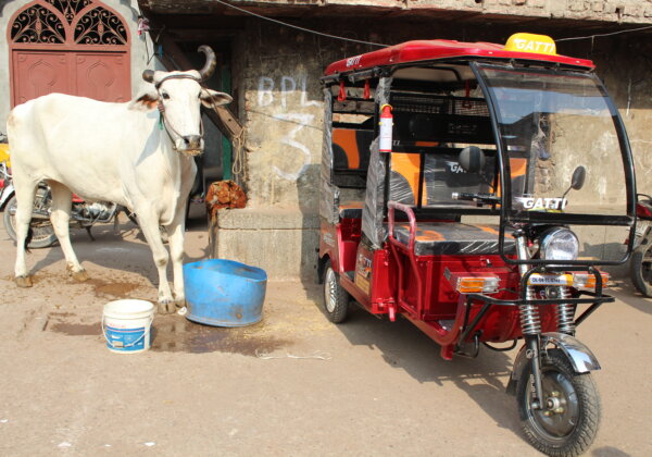 PETA India’’s Delhi Mechanisation Project Ends Working Animal Suffering