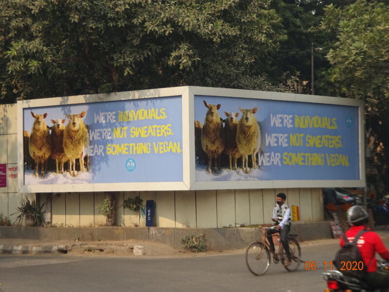 Delhi wool billboard