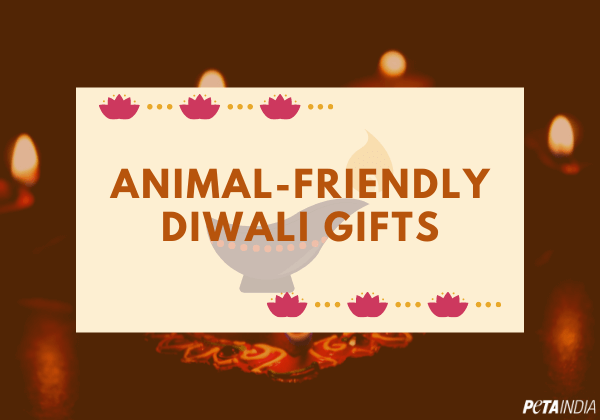 Last-Minute Animal-Friendly Diwali Gifts - Blog - PETA India