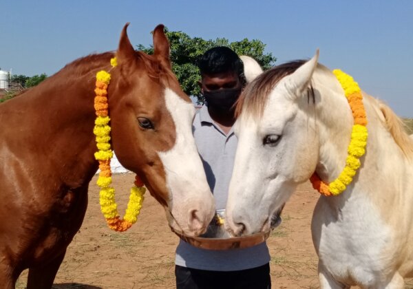 रेसक्यू किए गए जानवरों के लिए दिवाली मनाने का दिन है