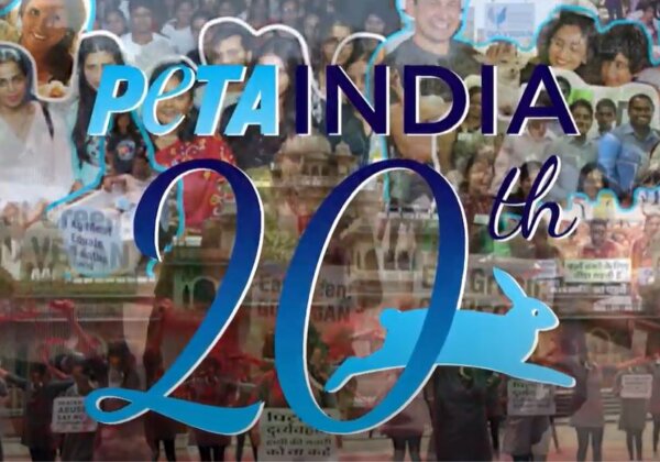 वर्ष 2020 में जानवरों के अधिकारों के संबंध में PETA इंडिया द्वारा अर्जित महत्वपूर्ण उपलब्धियां