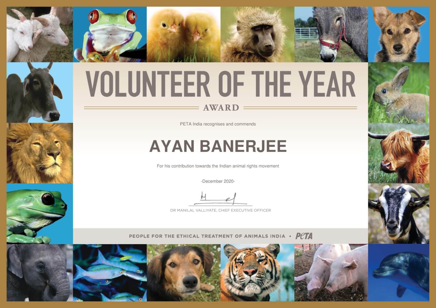 Prayagraj Student Is PETA India's 2020 Volunteer of the Year - Blog - PETA India Prayagraj Student Is PETA India's 2020 Volunteer of the Year - Blog - PETA India