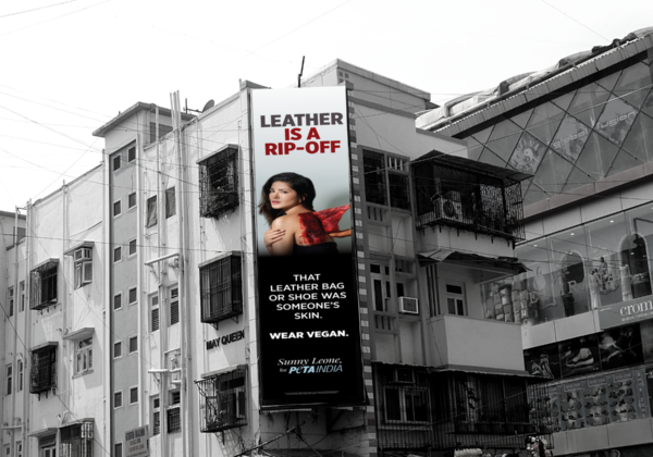 PETA इंडिया के वर्ष 2020 के सर्वश्रेष्ठ बिलबोर्ड अभियान
