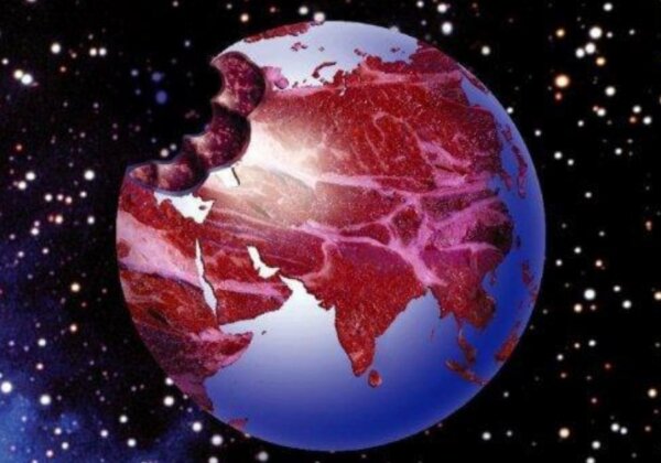 कुछ बेहतरीन गतिविधियां जो आप “Earth Hour” के दौरान कर सकते हैं