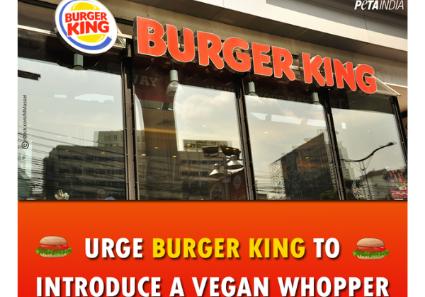 PETA India Asks for a Vegan Burger King; Raveena Tandon Agrees