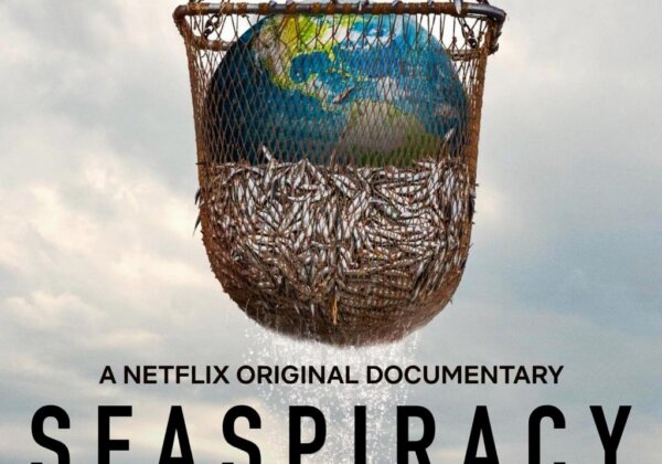 6 सबक जो हम नेटफ्लिक्स डॉक्यूमेंट्री “Seaspiracy” से सीख सकते हैं