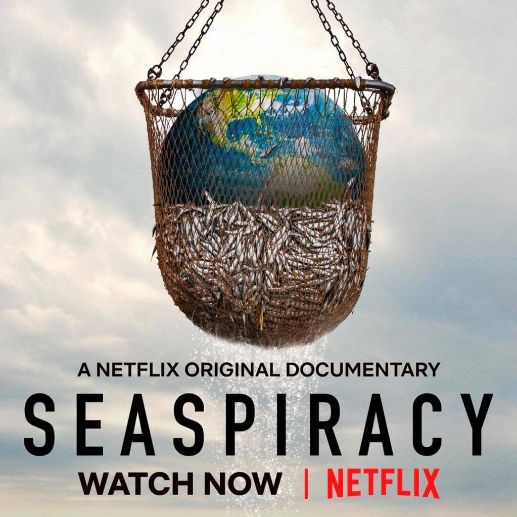6 Lessons We Can Learn From the Netflix Documentary ‘Seaspiracy’ Blog