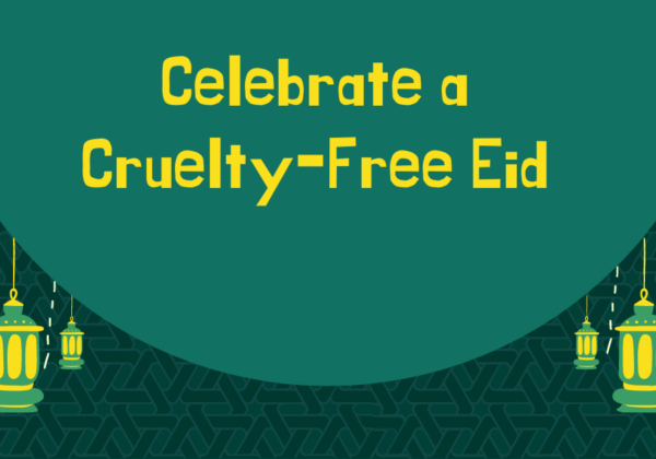 Pledge to Celebrate a Cruelty-Free Eid al-Adha