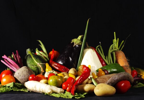 Top 10 Reasons Not to Eat Meat