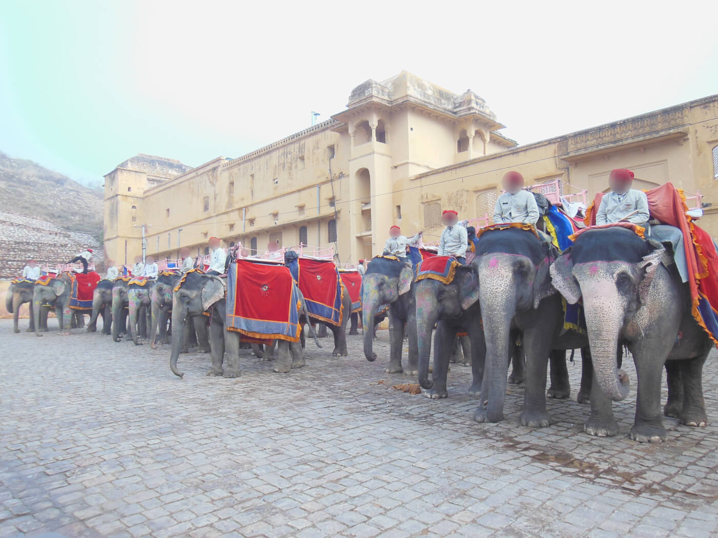Torturing Elephants for Rides at Amer Fort Endangers Everyone Blog