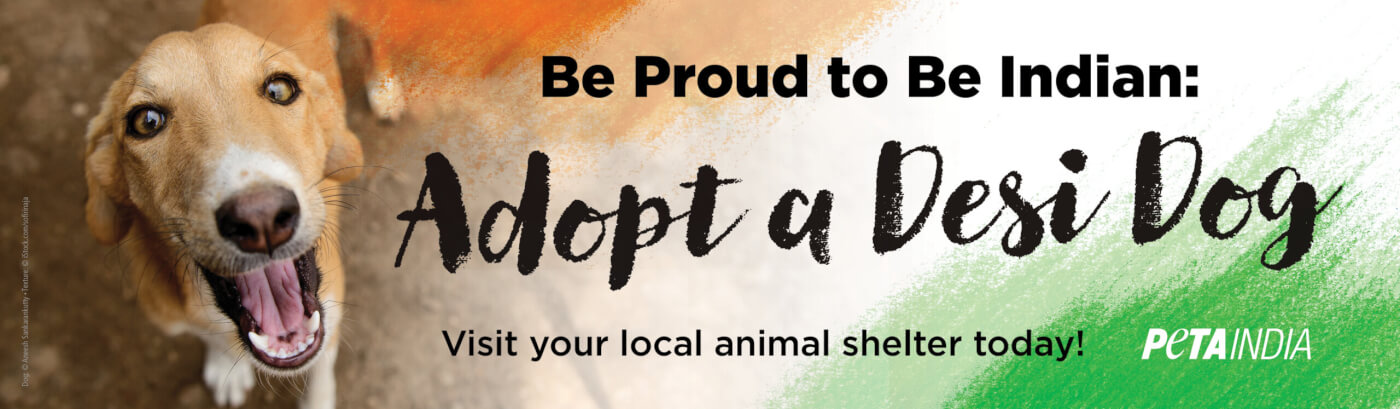 New Independence Day PETA India Billboard Campaign Encourages Animal  Adoption - Blog - PETA India