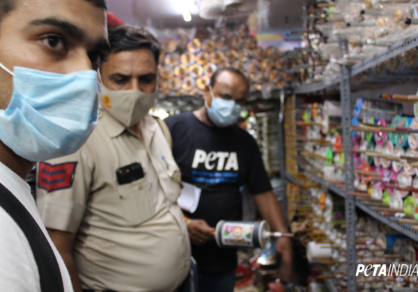 PETA इंडिया की शिकायत पर, स्वतंत्रता दिवस से ठीक पहले दिल्ली पुलिस ने प्रतिबंधित माँझा जब्त किया